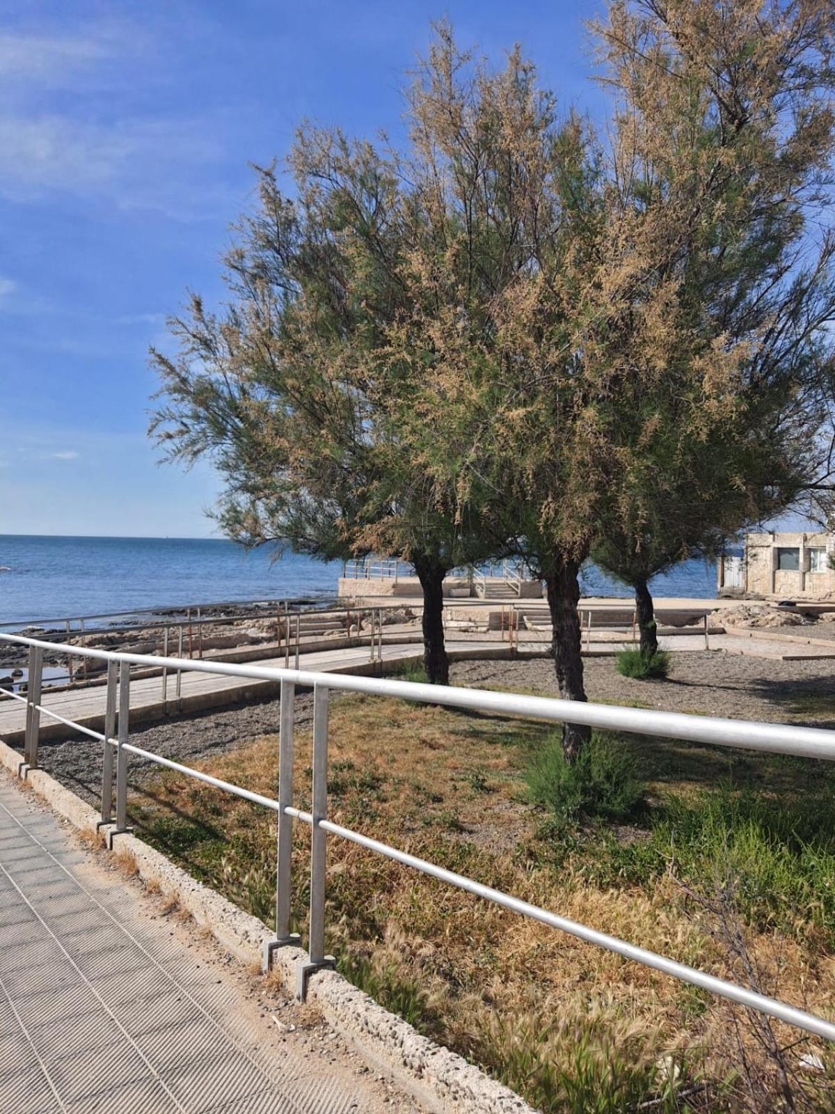 Bari Amare - Home Kültér fotó